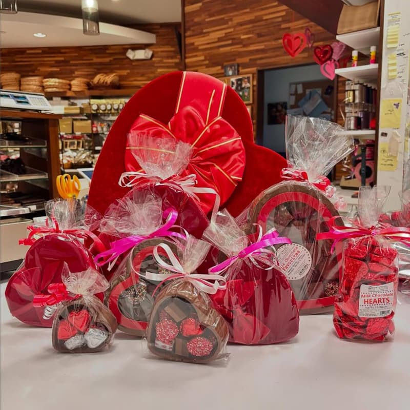 50 Pcs Clear Cellophane Gift Bags with Twist Ties for Parties