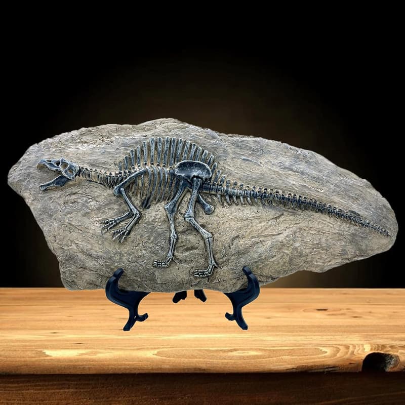 Spinosaurus Dinosaur Fossil Statue for Home and Office Decor