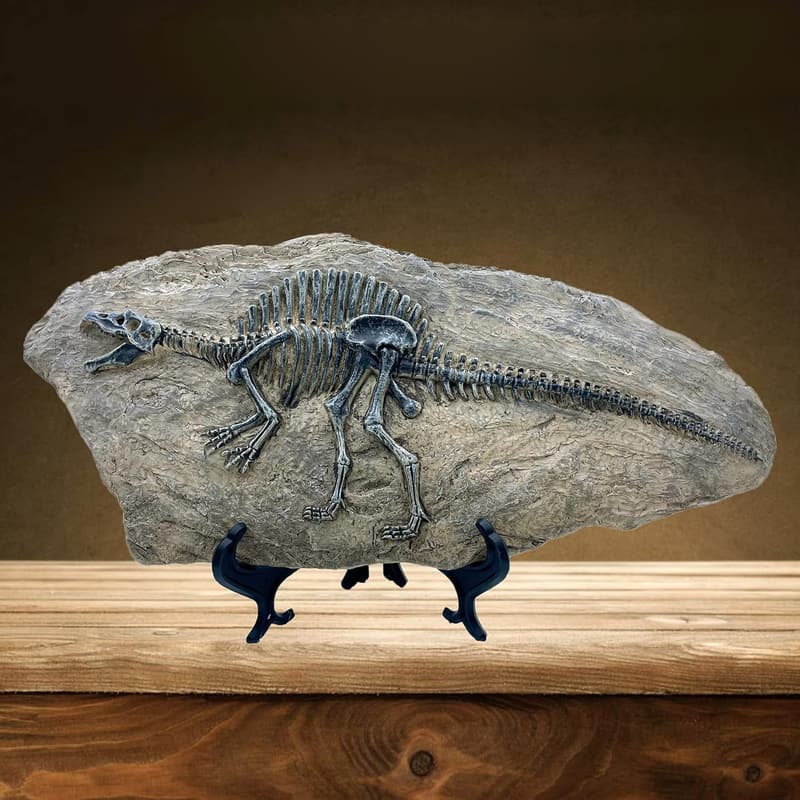 Spinosaurus Dinosaur Fossil Statue for Home and Office Decor