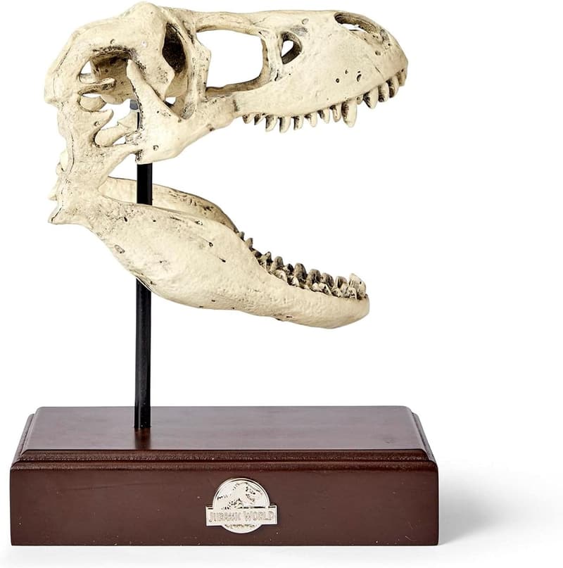 Jurassic World T. Rex Skull Resin Replica - 9x8-Inch Decoration