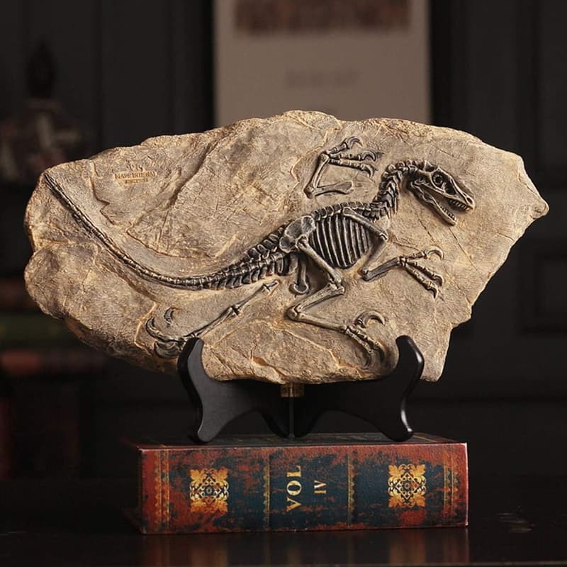 Dinosaur Fossil Resin Statue Model for Home Office Decor