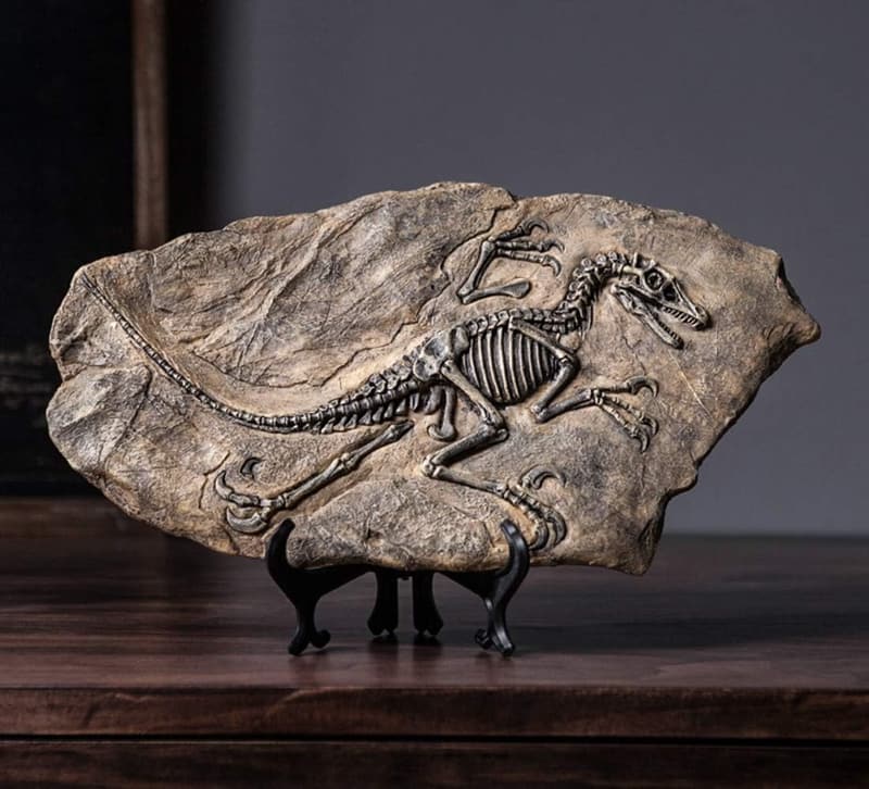 Dinosaur Fossil Resin Statue Model for Home Office Decor
