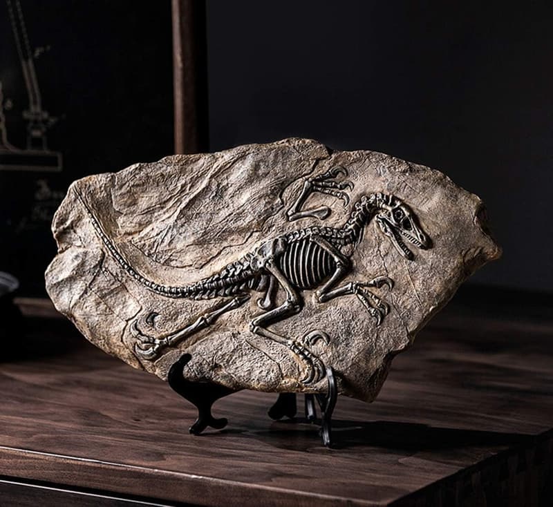 Dinosaur Fossil Resin Statue Model for Home Office Decor