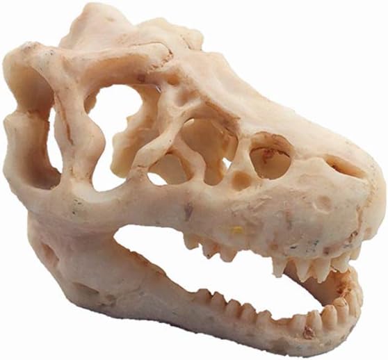 Dinosaur Skull Aquarium Decoration for Fish Tank Landscape