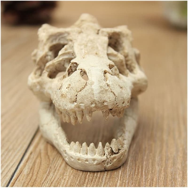 Dinosaur Skull Aquarium Decoration for Fish Tank Landscape