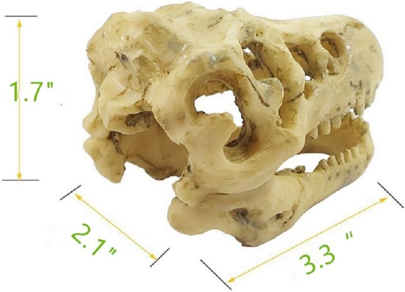 Dinosaur Skull Aquarium Decoration for Fish Tank Landscape