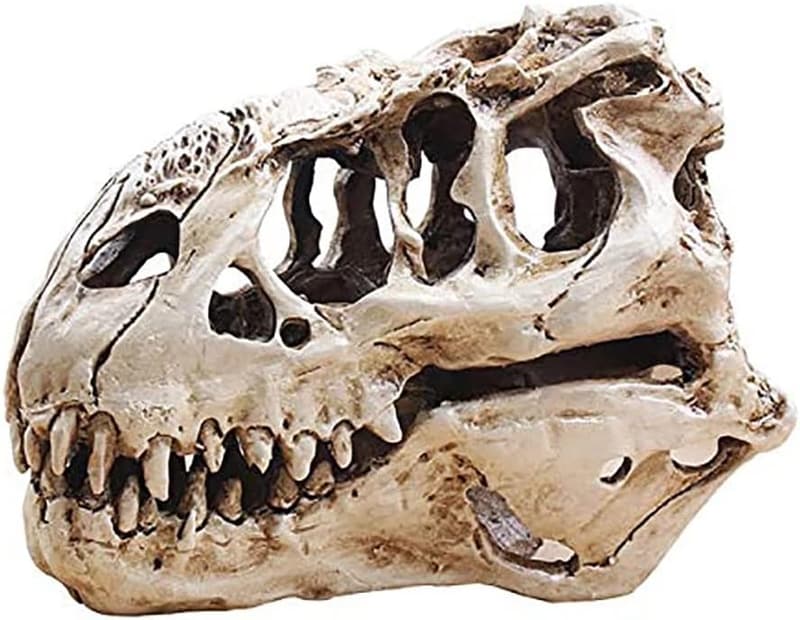 Lifelike T-Rex Skull Resin Model for Home Decor