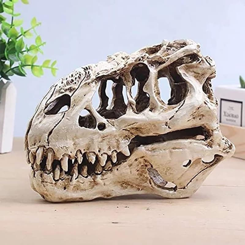Lifelike T-Rex Skull Resin Model for Home Decor