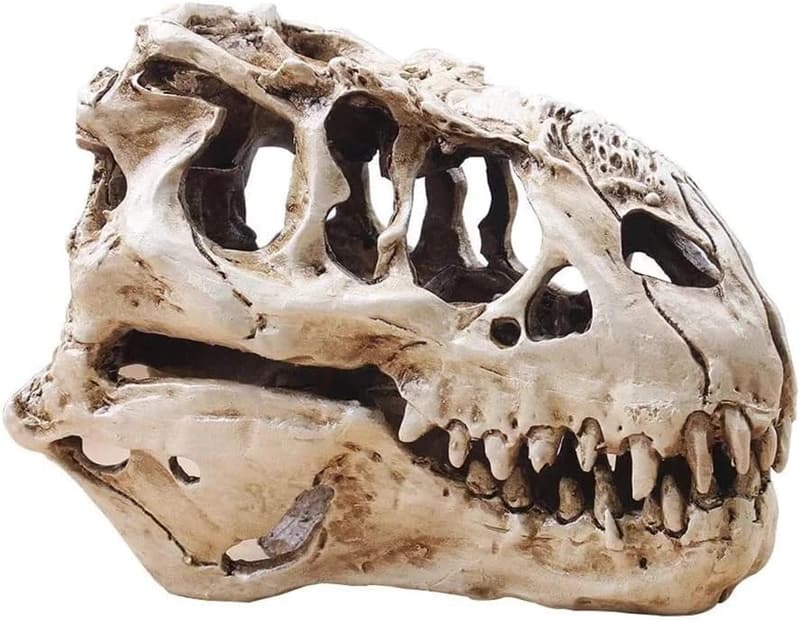 Lifelike T-Rex Skull Resin Model for Home Decor