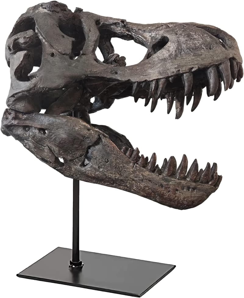 T Rex Skull Resin Replica - 11.8-Inch Dinosaur Decor