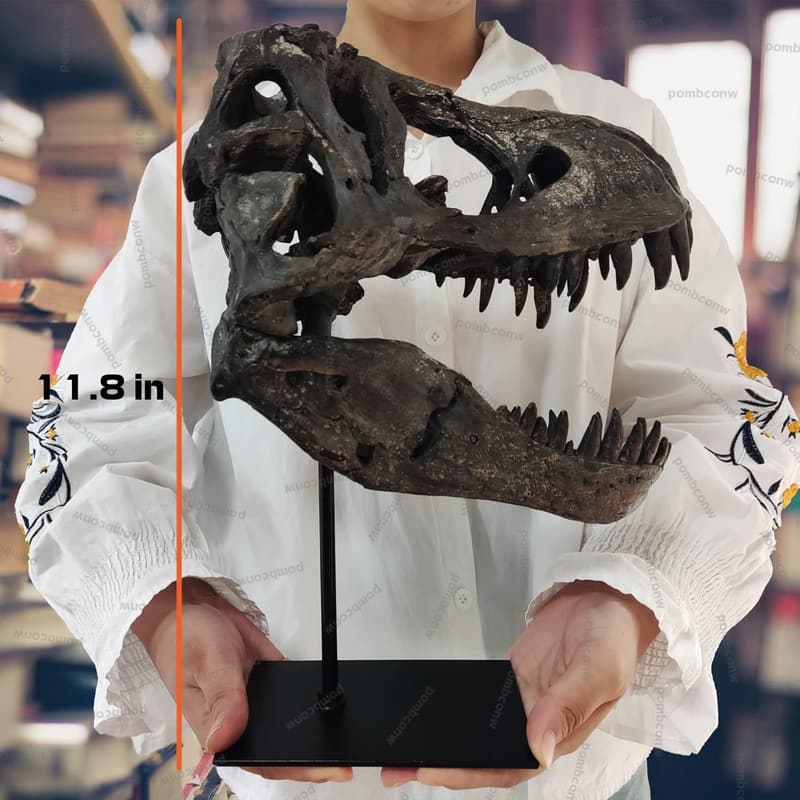 T Rex Skull Resin Replica - 11.8-Inch Dinosaur Decor