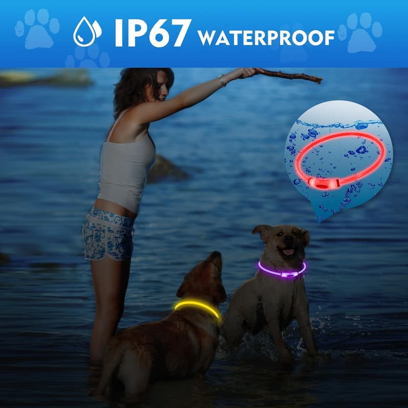 Rechargeable LED Light-Up Dog Collar - 7 Color Change, Waterproof