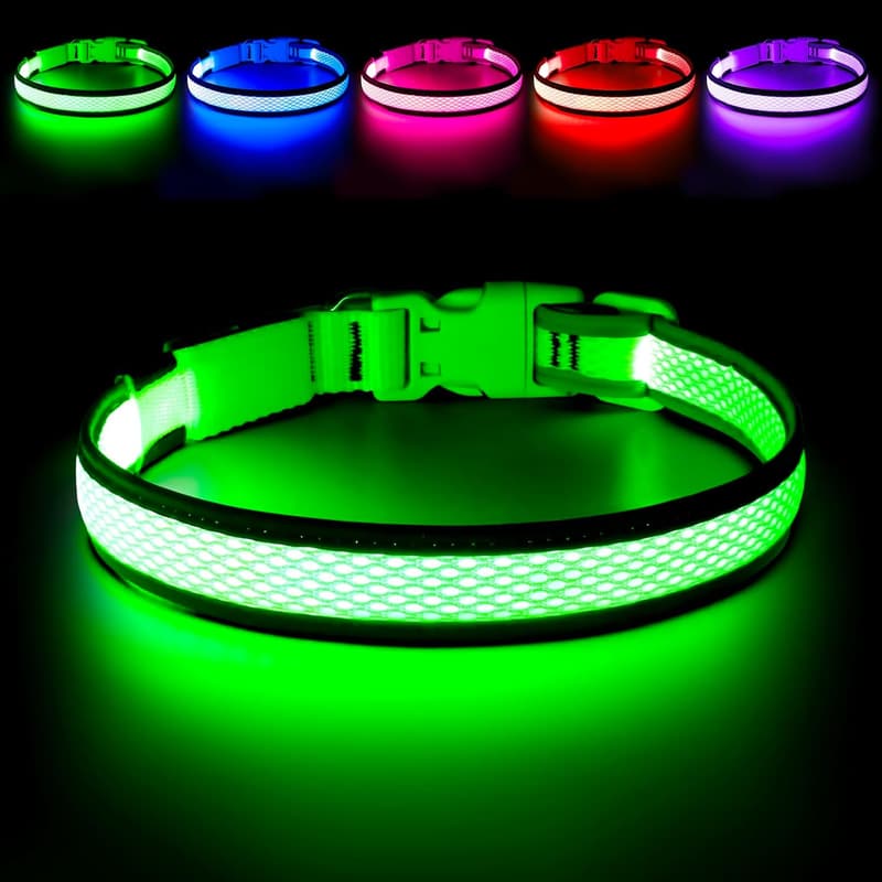 USB Rechargeable LED Dog Collar for Night Safety - Medium, Neon Green