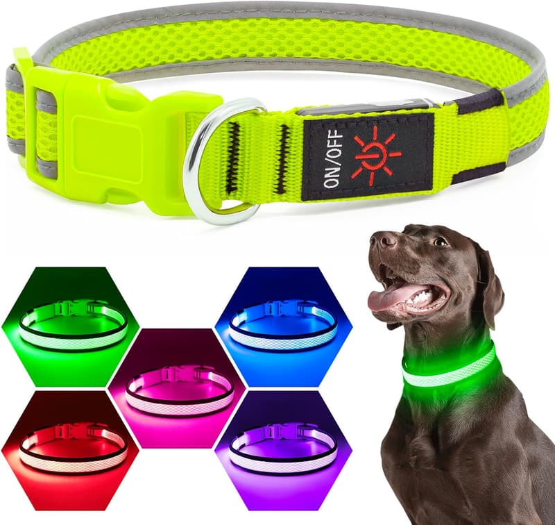 USB Rechargeable LED Dog Collar for Night Safety - Medium, Neon Green