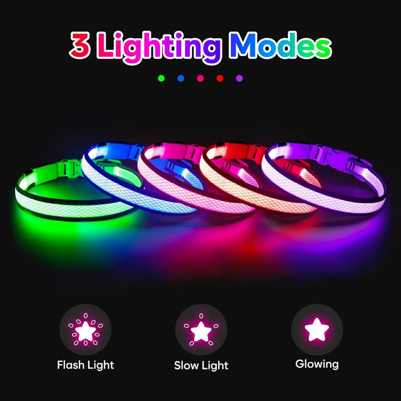 USB Rechargeable LED Dog Collar for Night Safety - Medium, Neon Green
