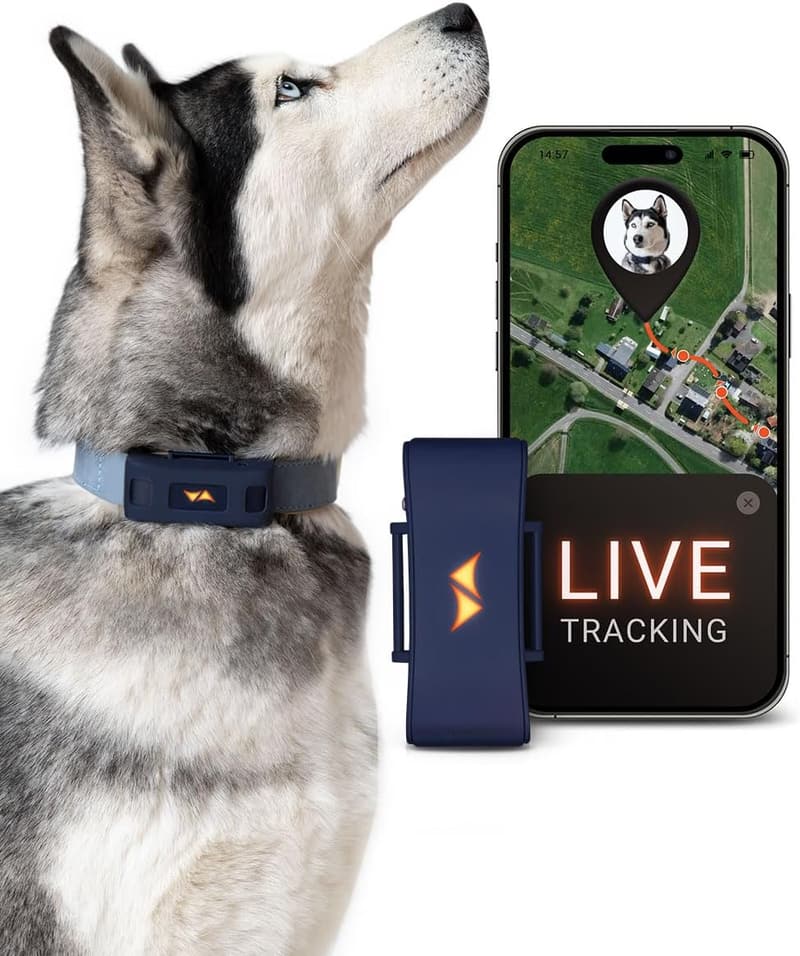 4G Waterproof GPS Dog Tracker with Real-Time Health Monitor