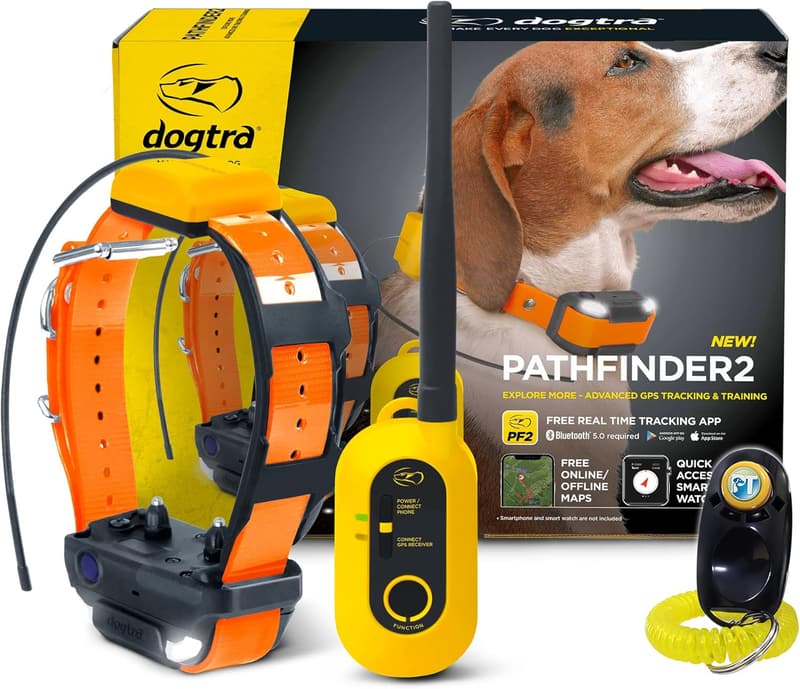 Dog Training Collar with GPS Tracking & 9-Mile Range