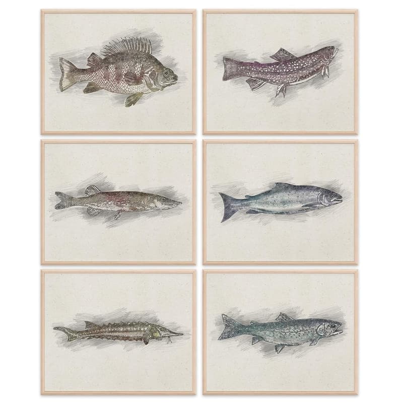 Aquatic Wall Art Prints Set of 6 – 8x10 for Home Decor