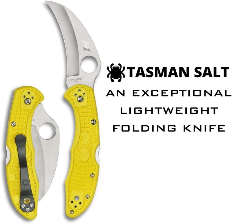 Spyderco Tasman Salt 2 Lightweight Knife - 2.91