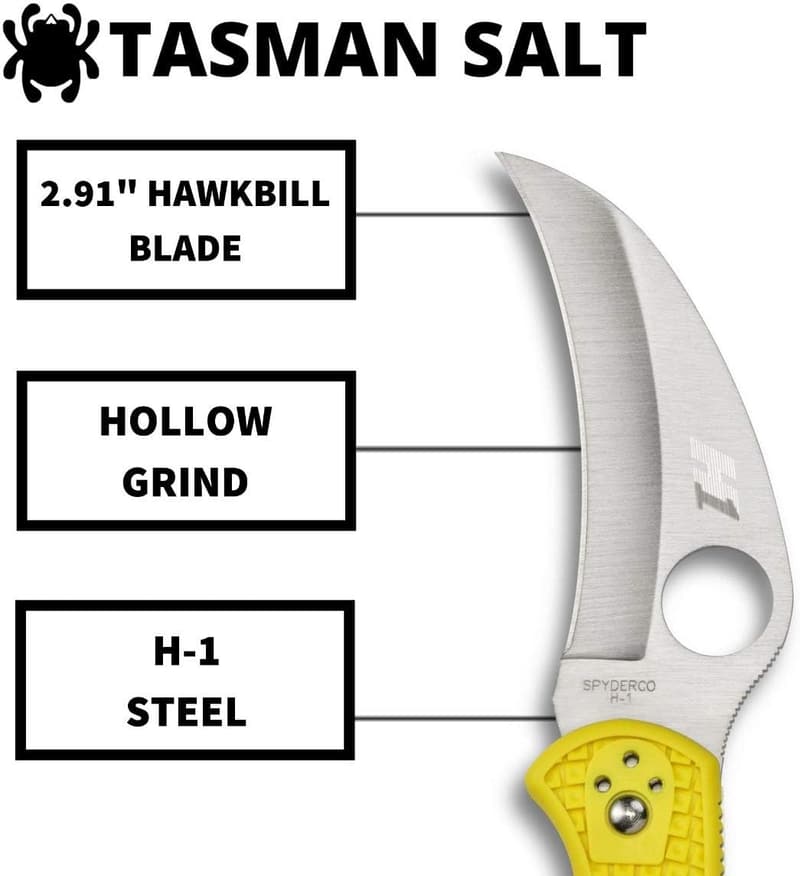 Spyderco Tasman Salt 2 Lightweight Knife - 2.91