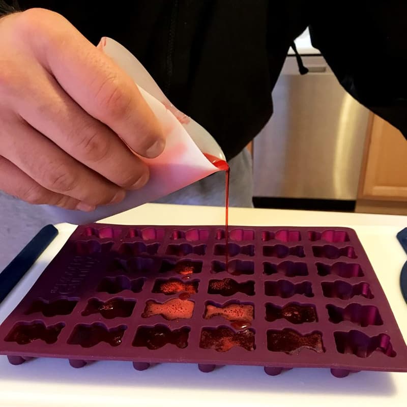 Silicone Gummy Bear Making Kit with Dropper & Measuring Cup