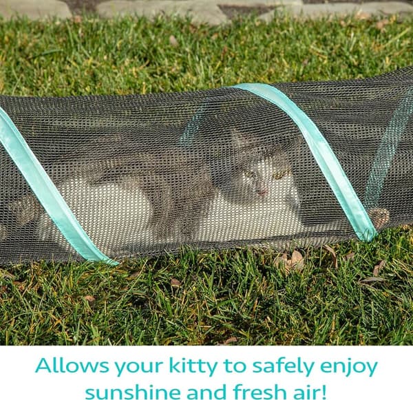 Outdoor Cat Play Catio with 10' Tunnel for Cats
