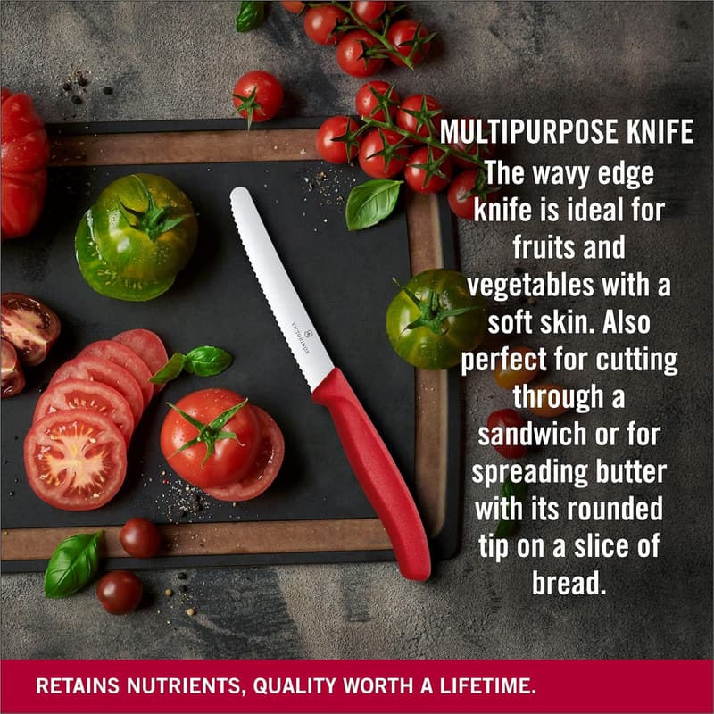 Victorinox 4.3