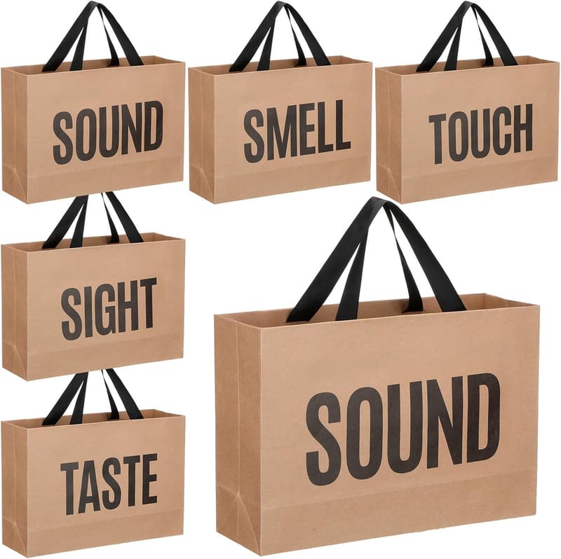 5 Senses Gift Bags with Ribbon Handle for Birthday or Anniversary