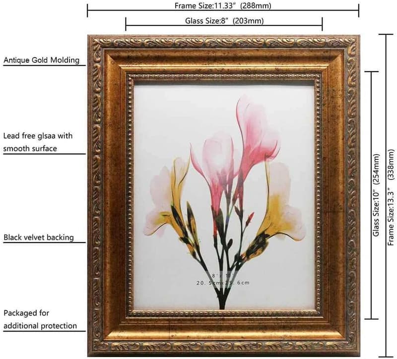 Antique Gold Photo Frames 2-Pack 8x10 for Weddings and Decor