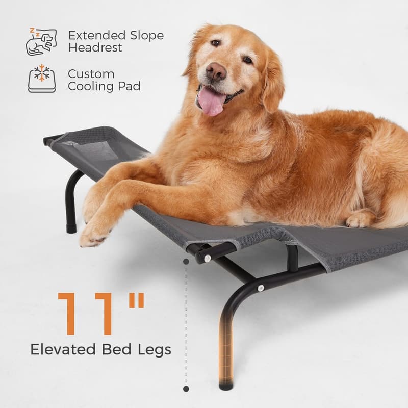 Elevated Dog Bed for Medium Dogs - Grey, 43