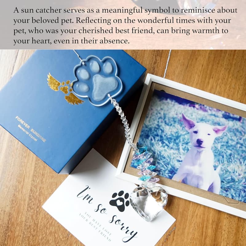 Pet Memorial Suncatcher - Thoughtful Gift for Pet Loss