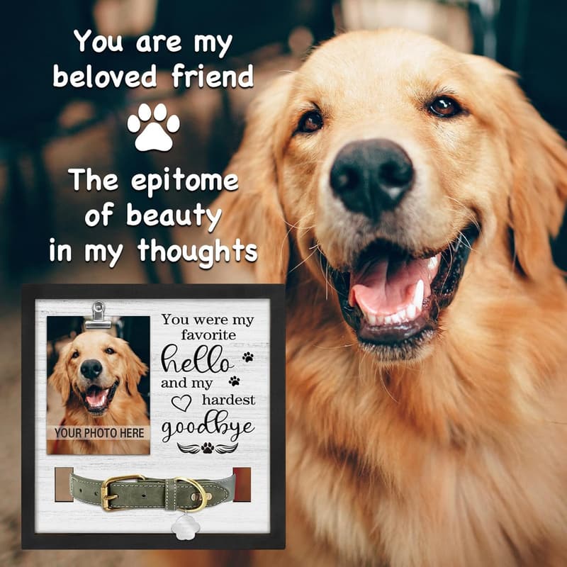 Pet Loss Sympathy Frame with Collar Holder