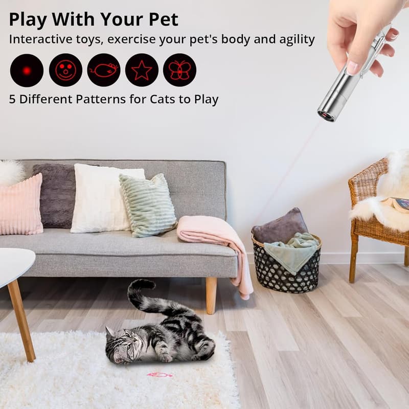 Interactive Rechargeable Red Cat Toy Pointer with 5 Patterns