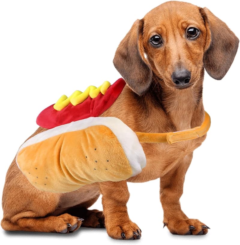 Funny Dog Hot Dog Costume for XS to Medium Pets
