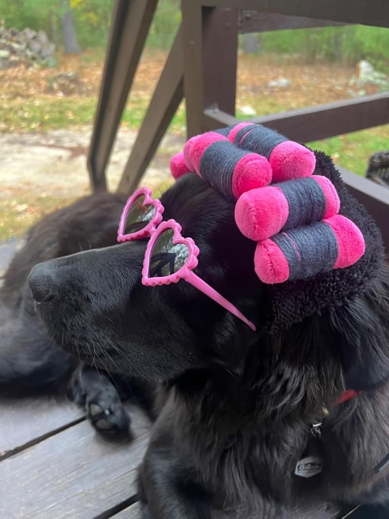 Halloween Dog Costume Wig with Glasses - Adjustable & Warm