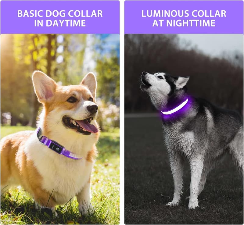 LED Rechargeable Glow-in-the-Dark Dog Collar for Night Walks