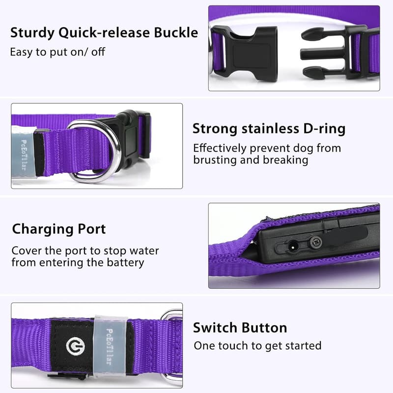 LED Rechargeable Glow-in-the-Dark Dog Collar for Night Walks