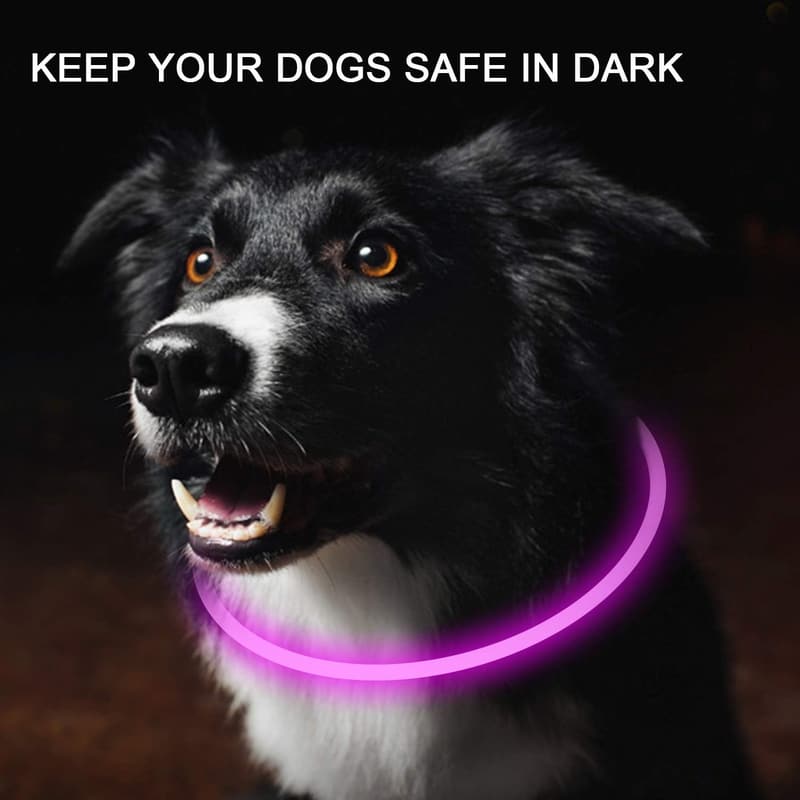 LED Rechargeable Dog Collars - Night Safety Light (2-Pack)