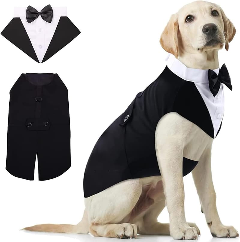 Formal Pet Tuxedo & Bandana Set for Weddings - Small Dogs