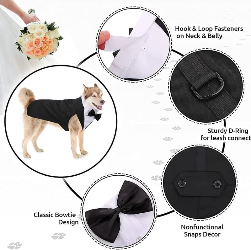 Formal Pet Tuxedo & Bandana Set for Weddings - Small Dogs