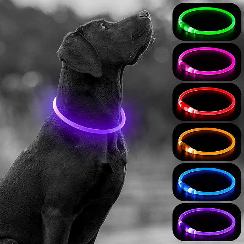 LED Dog Collar for Night Safety - Type-C Rechargeable, Adjustable
