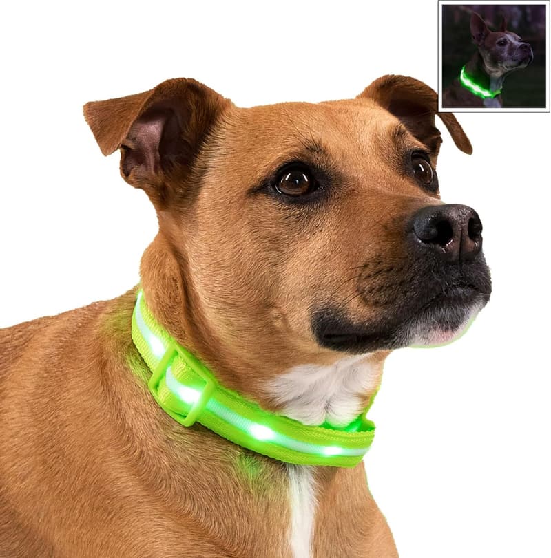LED Dog Collar with 1,000 Feet Visibility - USB Rechargeable & Waterproof