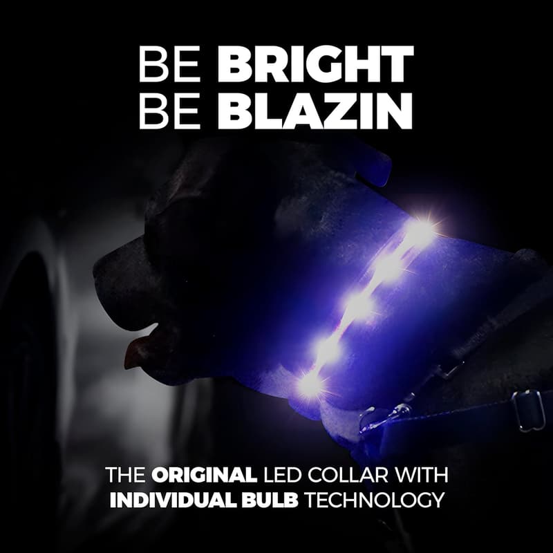 LED Dog Collar with 1,000 Feet Visibility - USB Rechargeable & Waterproof