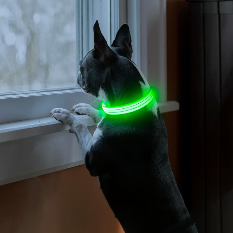 LED Rechargeable Reflective Dog Collar for Safe Night Walks - Green