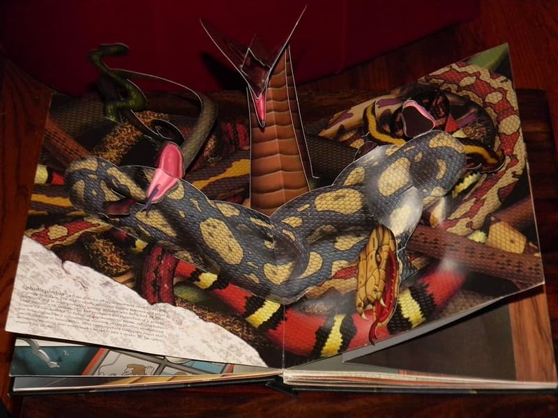 Phobia Pop-Up Book for Fear Exploration