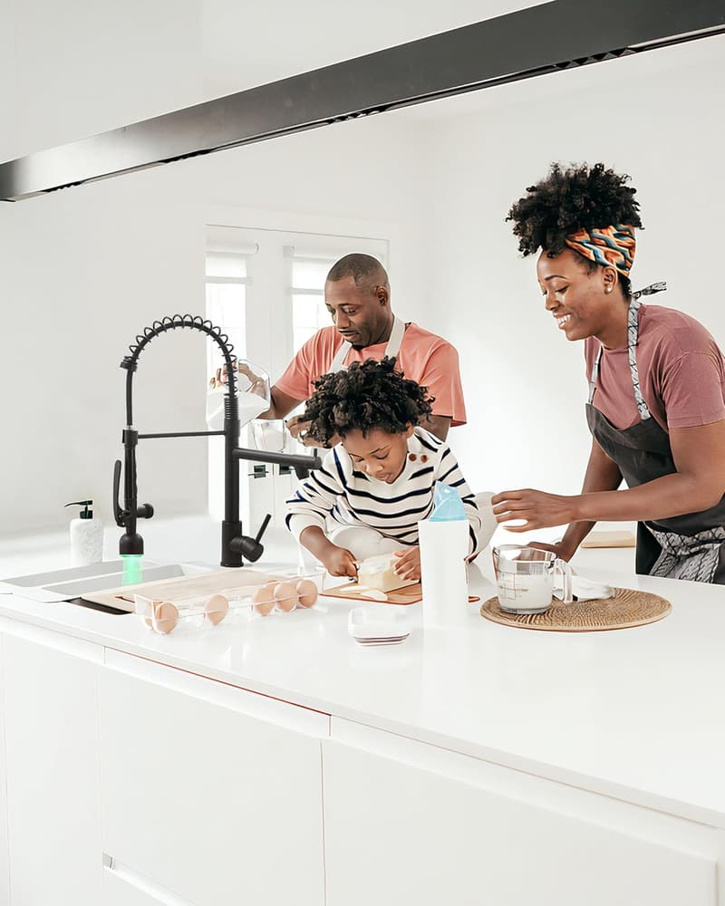 Commercial Black Kitchen Faucet with Pull Down Sprayer
