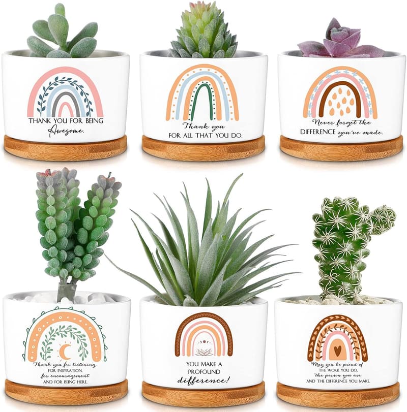 Graduation Gift: 6 Mini Ceramic Succulent Pots with Bamboo Tray