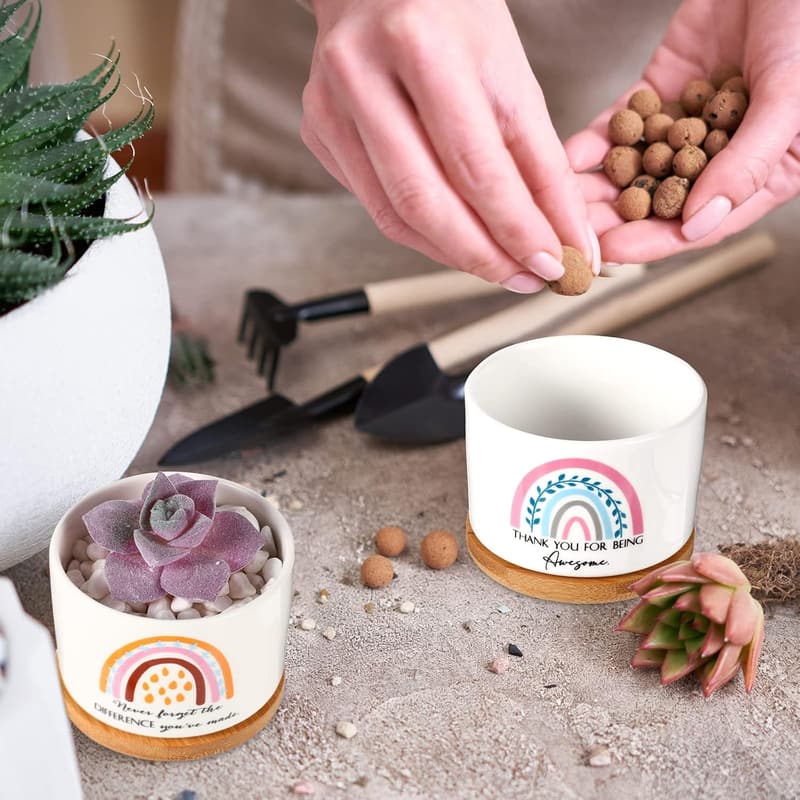 Graduation Gift: 6 Mini Ceramic Succulent Pots with Bamboo Tray