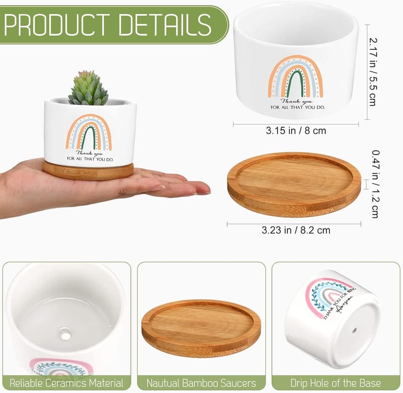 Graduation Gift: 6 Mini Ceramic Succulent Pots with Bamboo Tray