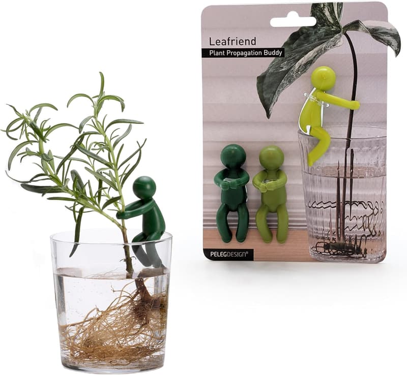 Plant Propagation Buddy: 3 Cute Supports for Indoor Gardens